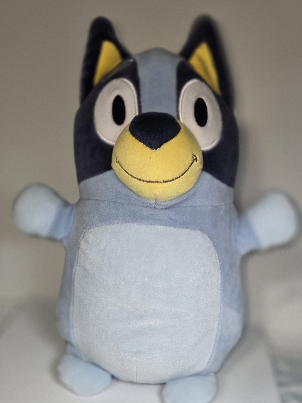 Bluey BBC Studios Bluey 10 in Plush Stuffed Animal Dog Character Toy